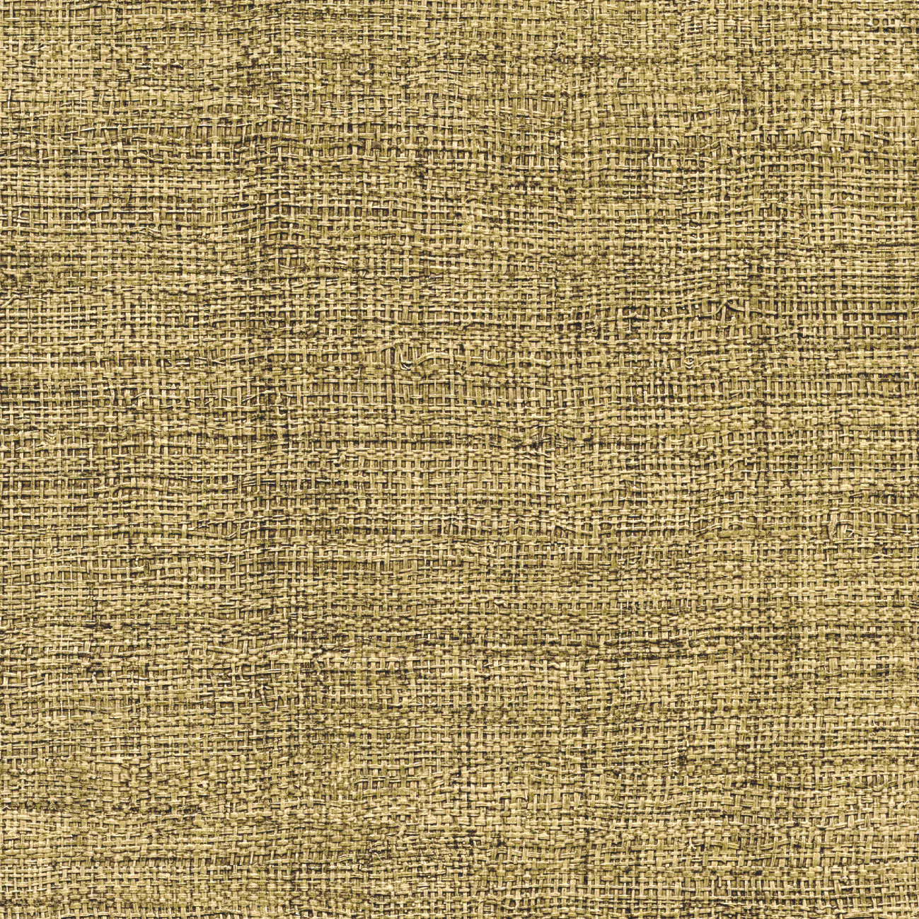 Behang Madagascar VP 631 40 - Elitis
