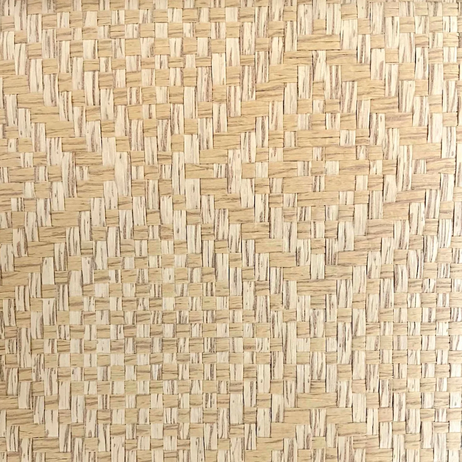 Behang Winter - Ikat Naturel