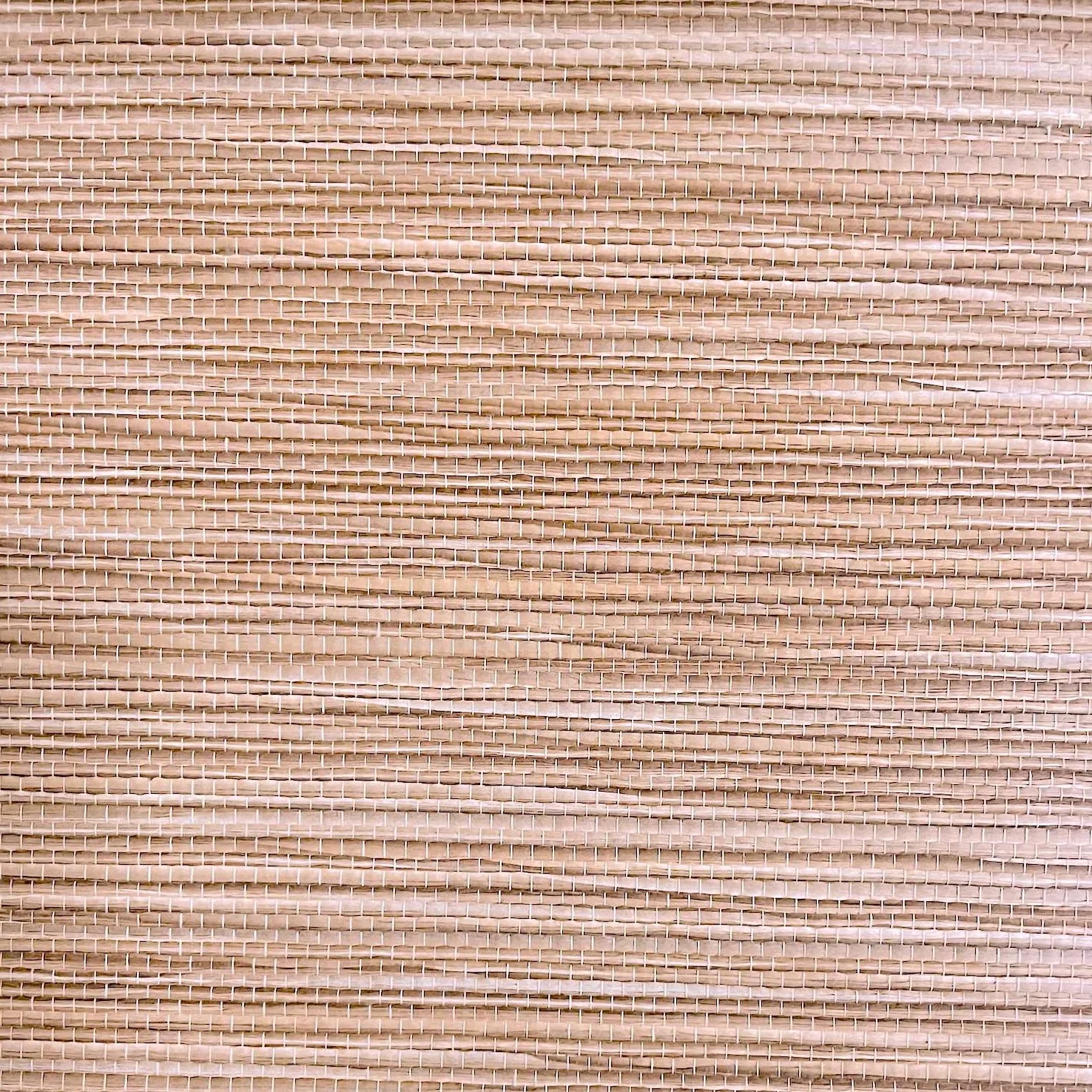 Behang Wren - Camel