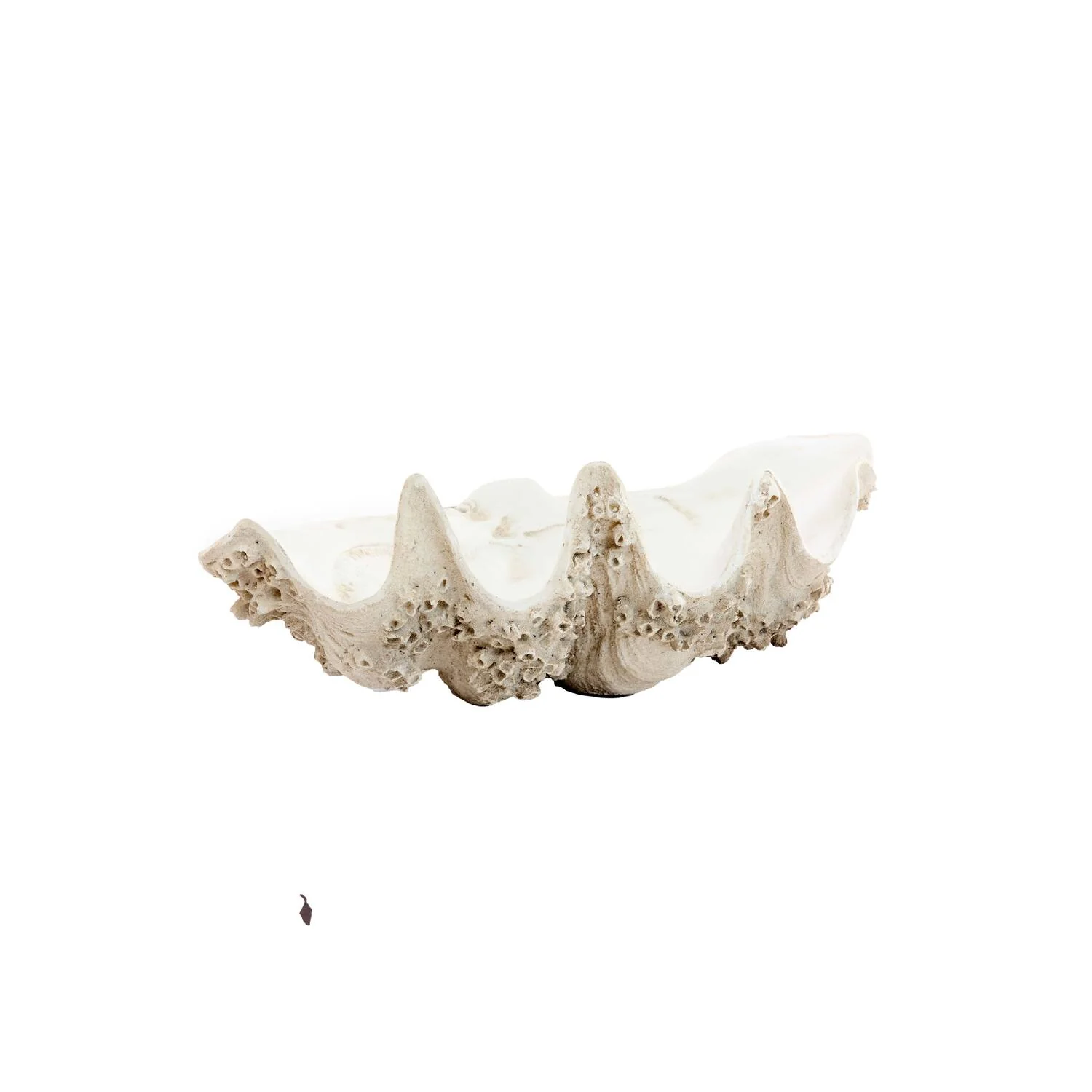Shell Ornament Creme Taupe