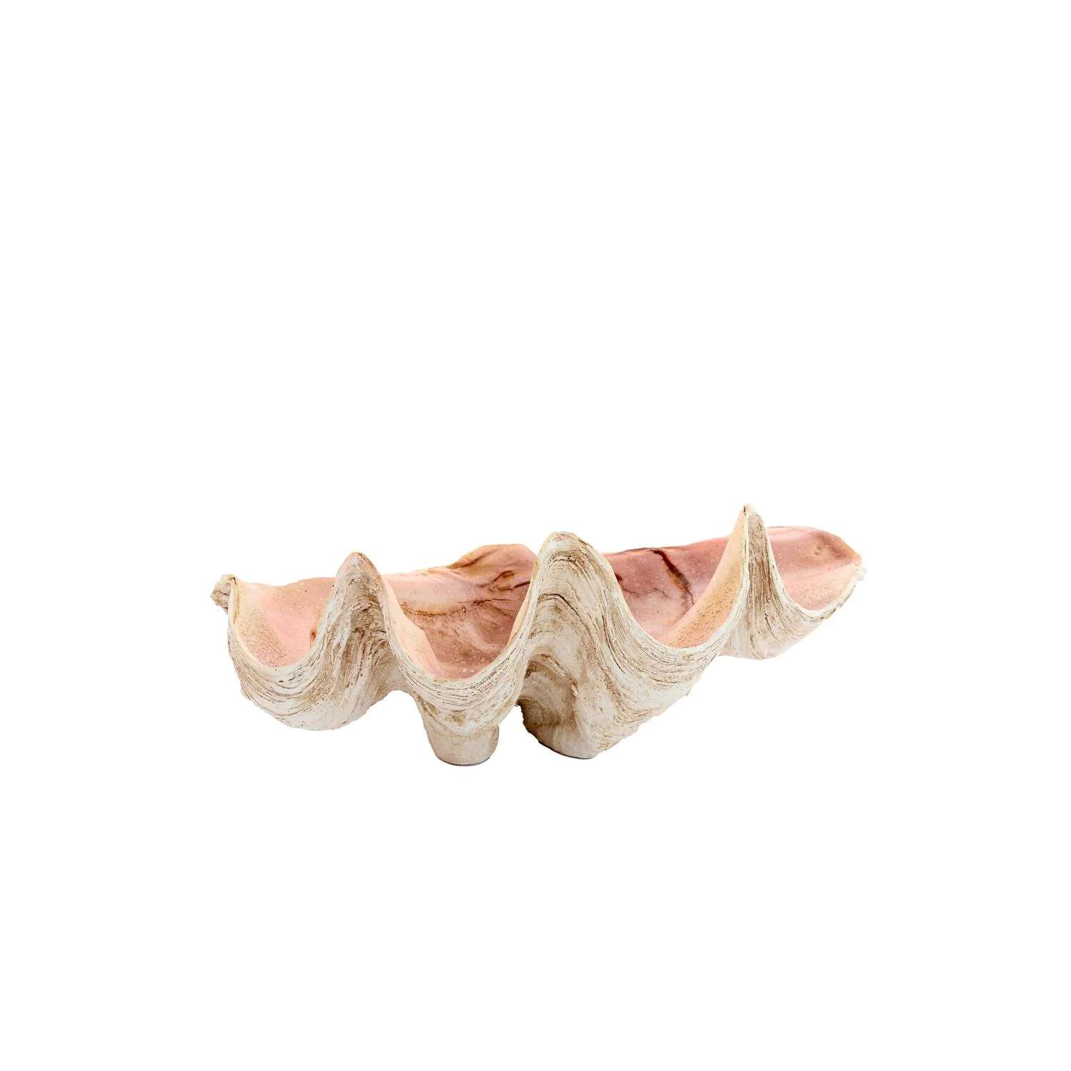 Shell Ornament Taupe Koraal - Image 2