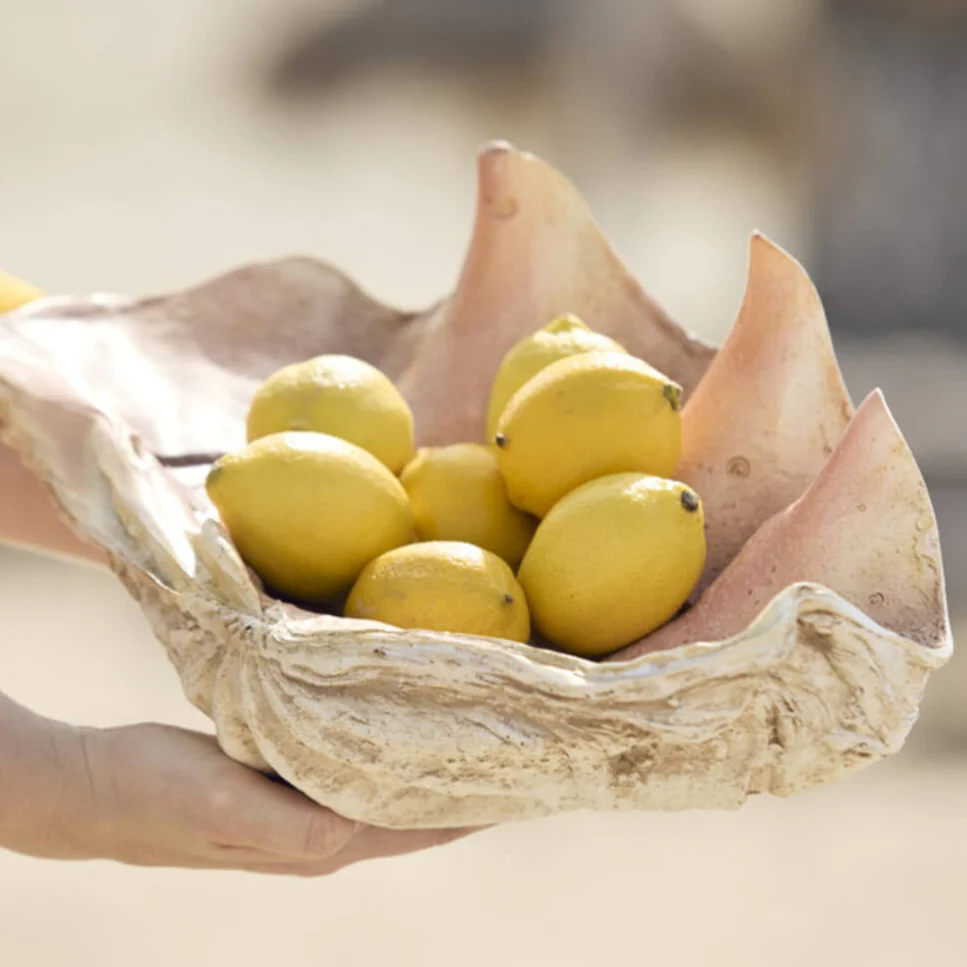 Shell Ornament Taupe Koraal - Image 3