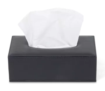 Tissue Box Zwart Kaba - Bentley - Image 4